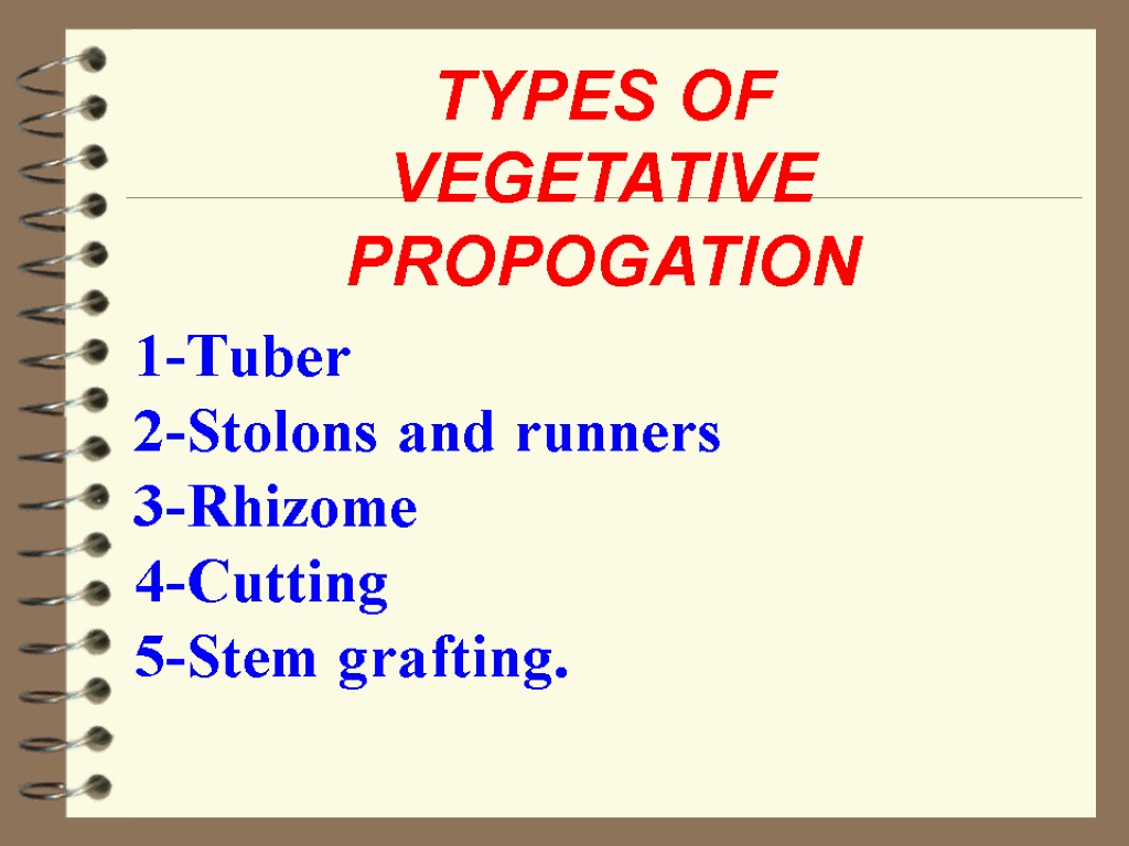 1-Tuber 2-Stolons and runners 3-Rhizome 4-Cutting 5-Stem grafting. TYPES OF VEGETATIVE PROPOGATION